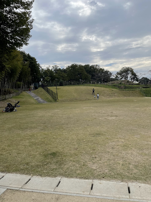 城山公園の芝生ゾーン