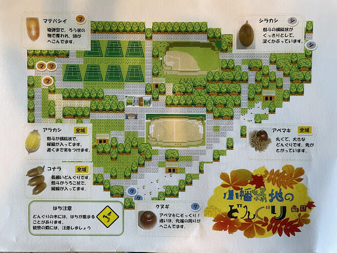 【名古屋】小幡緑地公園(西園)のどんぐりマップ