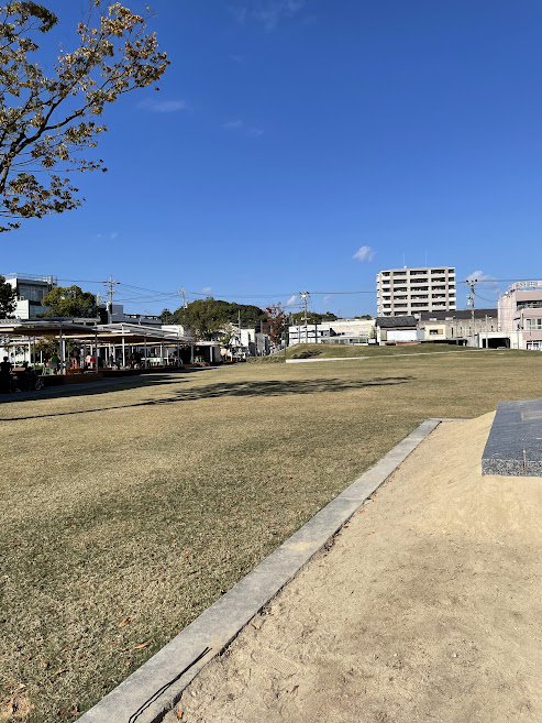 籠田公園の芝生広場