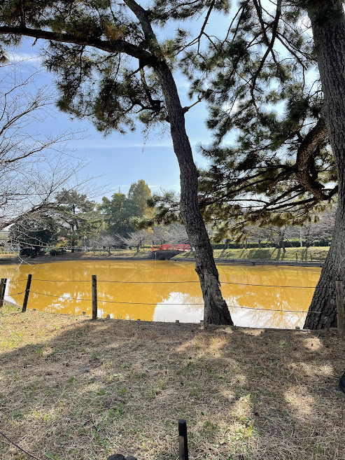 亀城公園の池2