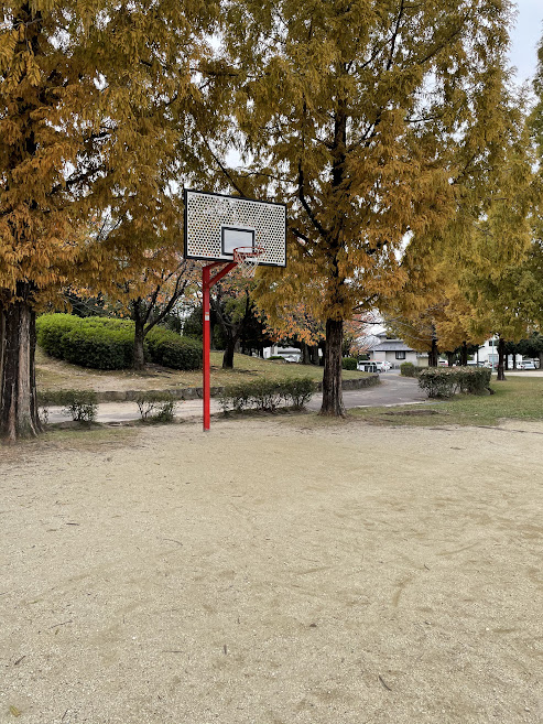 原崎公園バスケットゴール