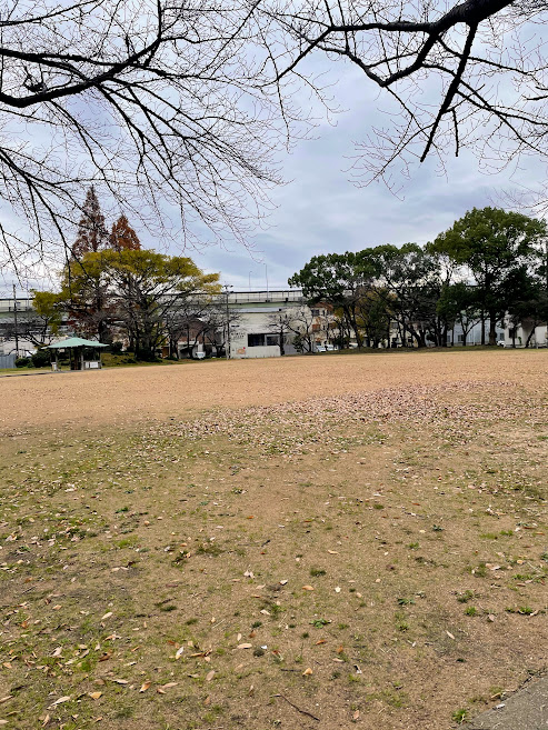 勇助山公園の芝生広場