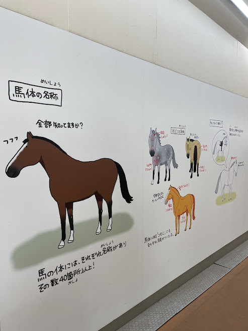 中京競馬場の馬の解説