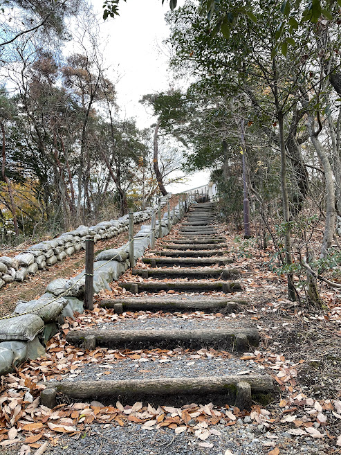 春日井市少年自然の家のフィールドアスレチック階段