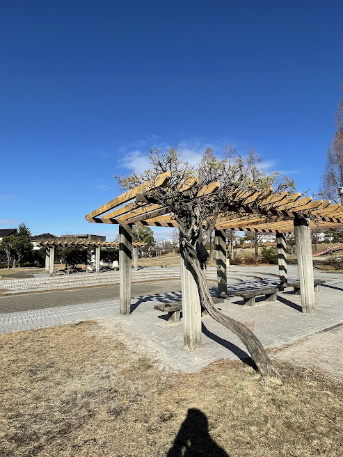 株山中央公園のベンチ