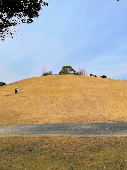 土橋公園の芝生の丘
