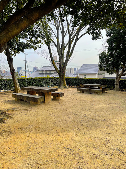 土橋公園の野球場のベンチ