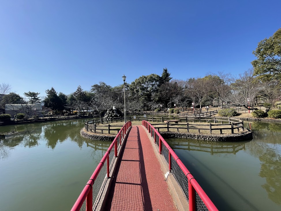 安城公園の池
