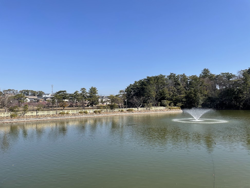 岡崎南公園の池