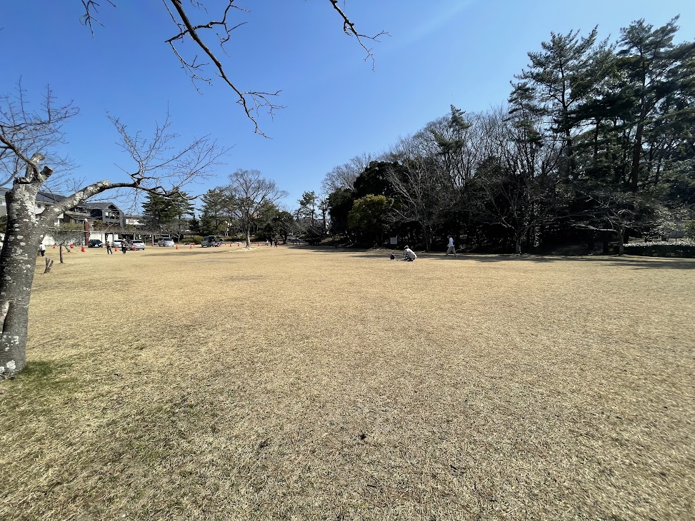岡崎南公園の芝生広場